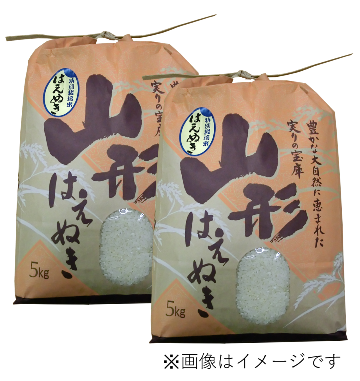 山形県産 米 はえぬき 5kg 通販